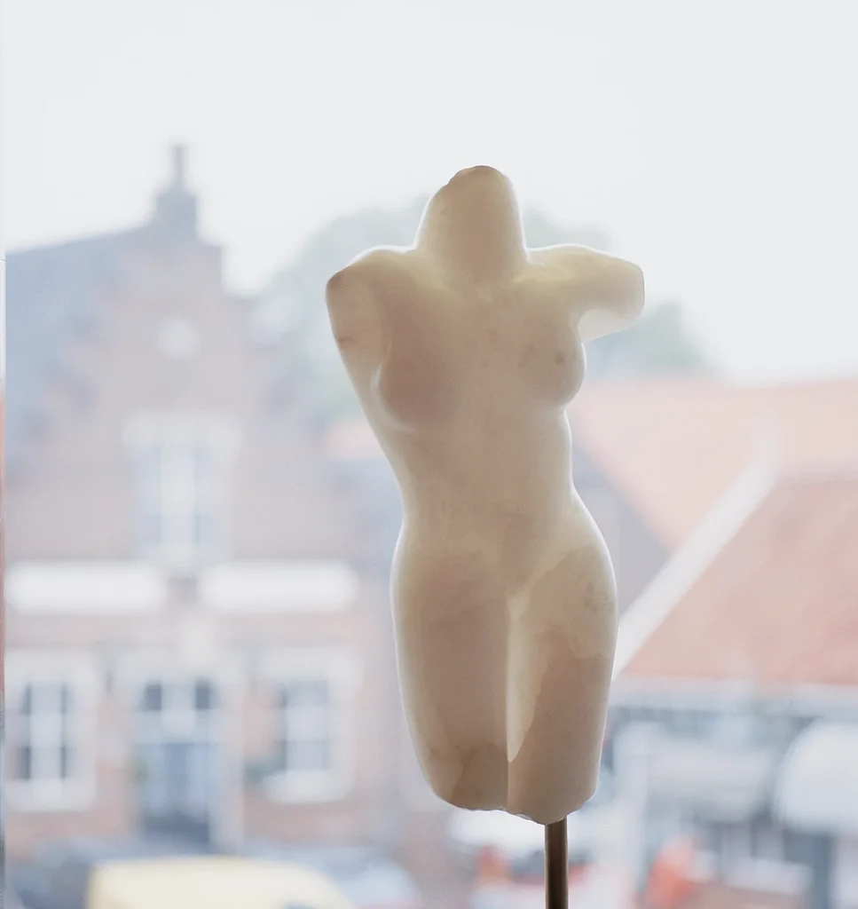 Beeld 'Torso violetta' van Rob Cerneüs