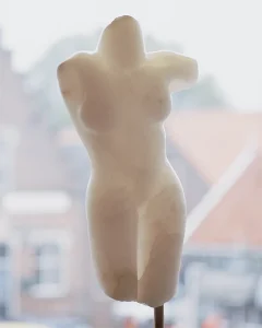 Beeld 'Torso violetta' van Rob Cerneüs