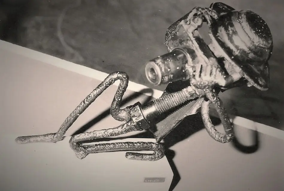 Beeld 'Fotograaf' van Rob Cerneüs